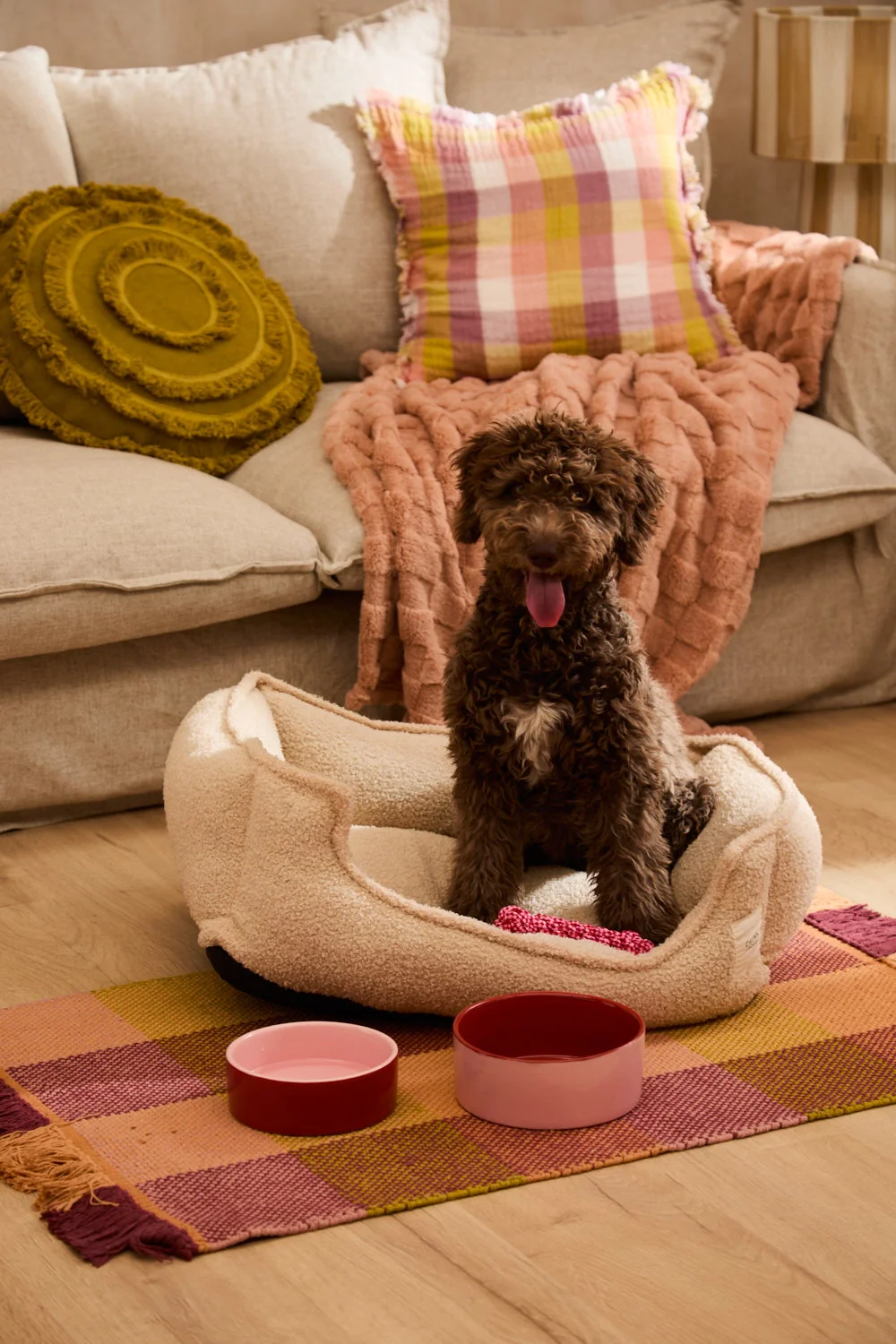 Cama desenfundable cruda para mascotas Taico - Image 13