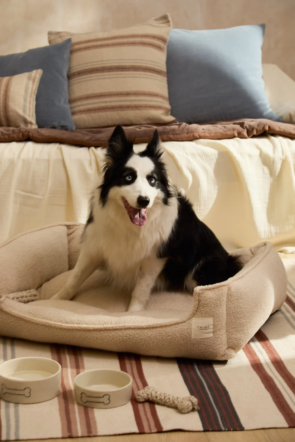 Cama desenfundable cruda para mascotas Taico - Image 22