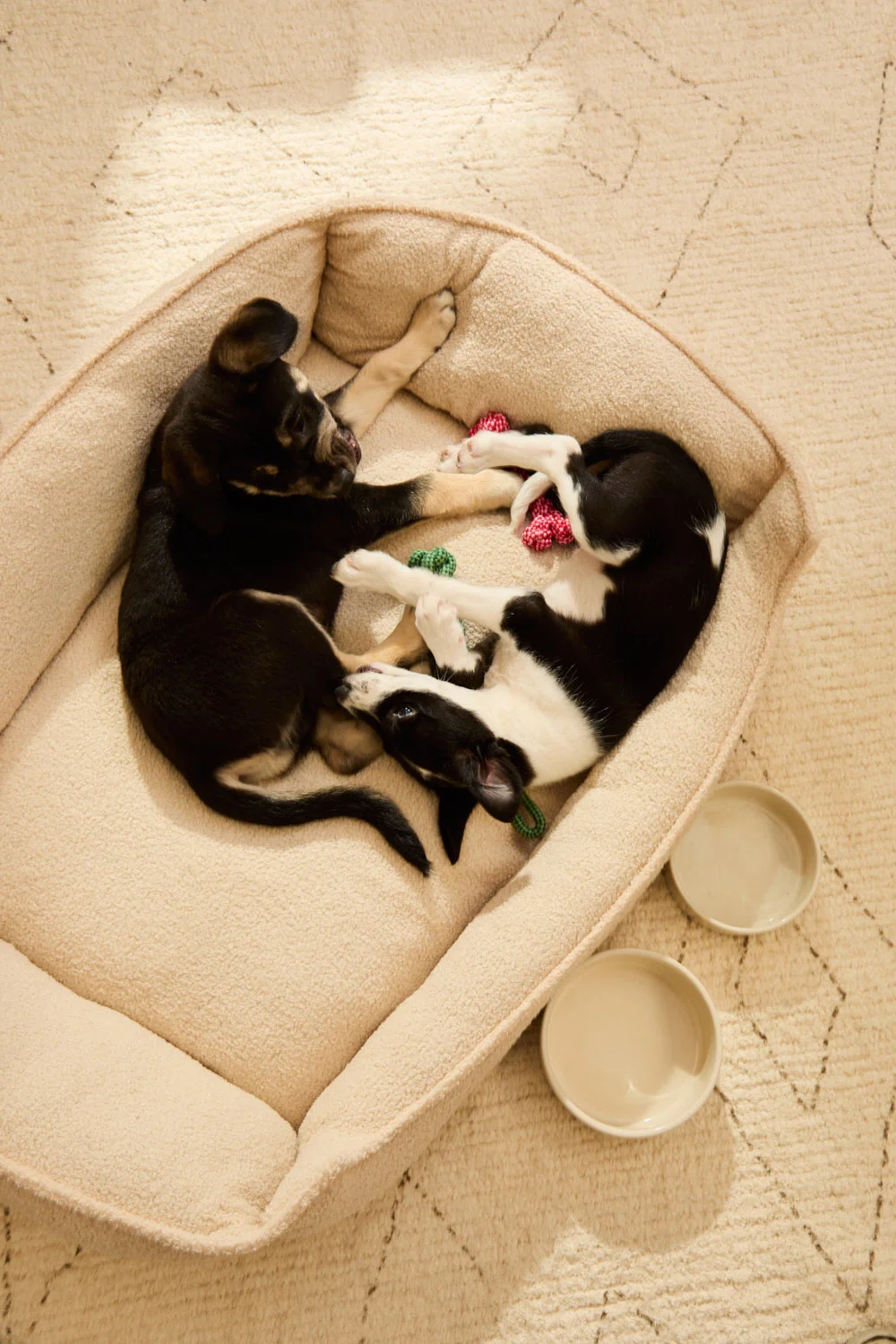 Cama desenfundable cruda para mascotas Taico - Image 26