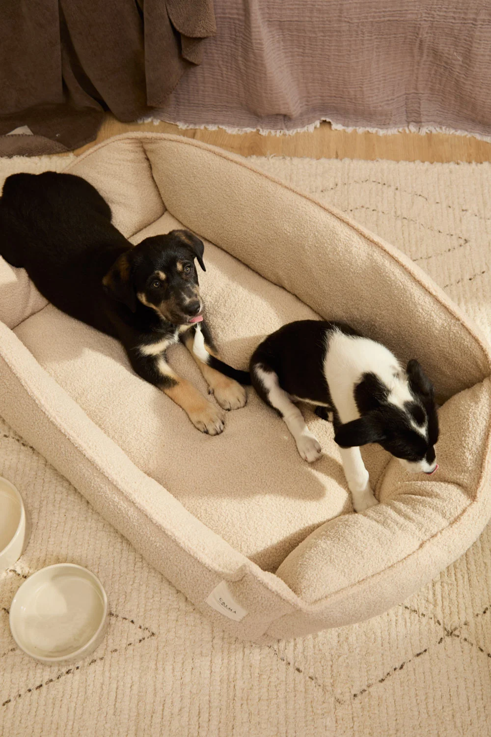 Cama desenfundable cruda para mascotas Taico - Image 27