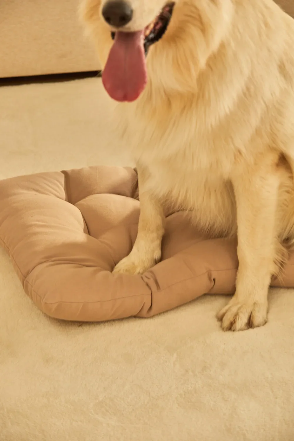 Cama para mascotas acolchada de algodón piedra Gavema - Image 2