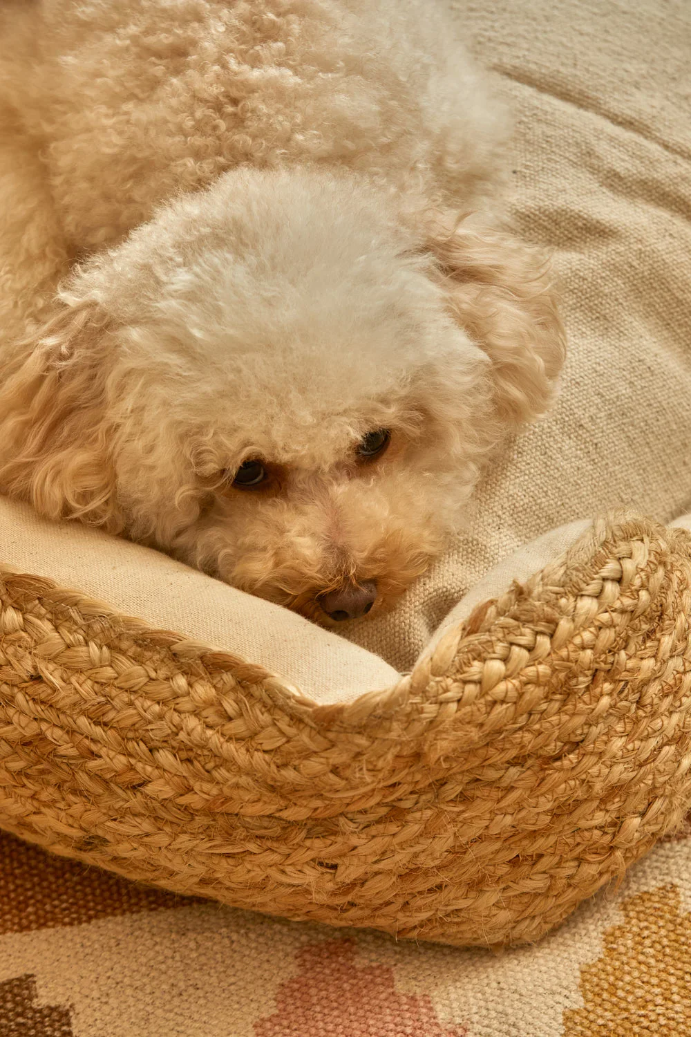 Cama para mascotas de yute Ural - Image 10