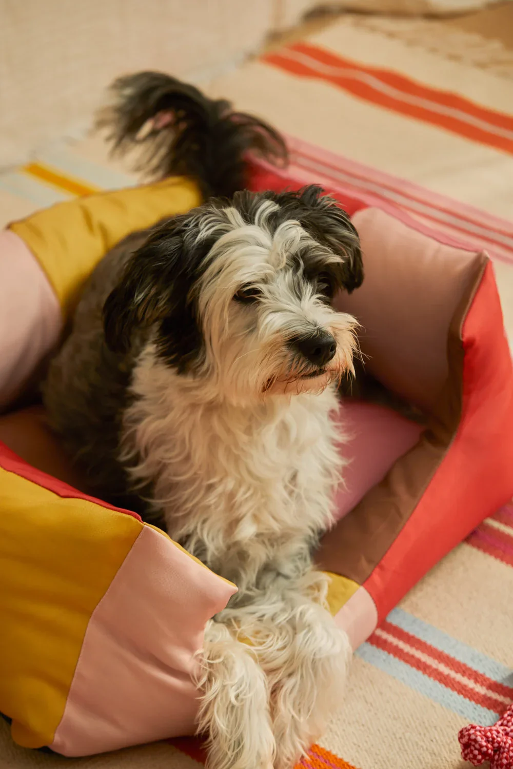 Cama rosa para mascotas Buby - Image 14