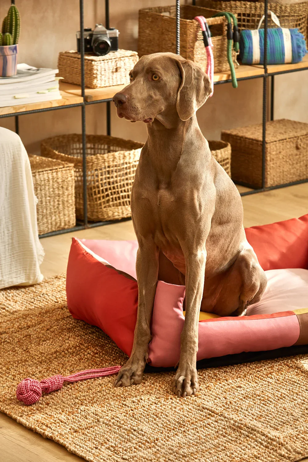 Cama rosa para mascotas Buby - Image 19