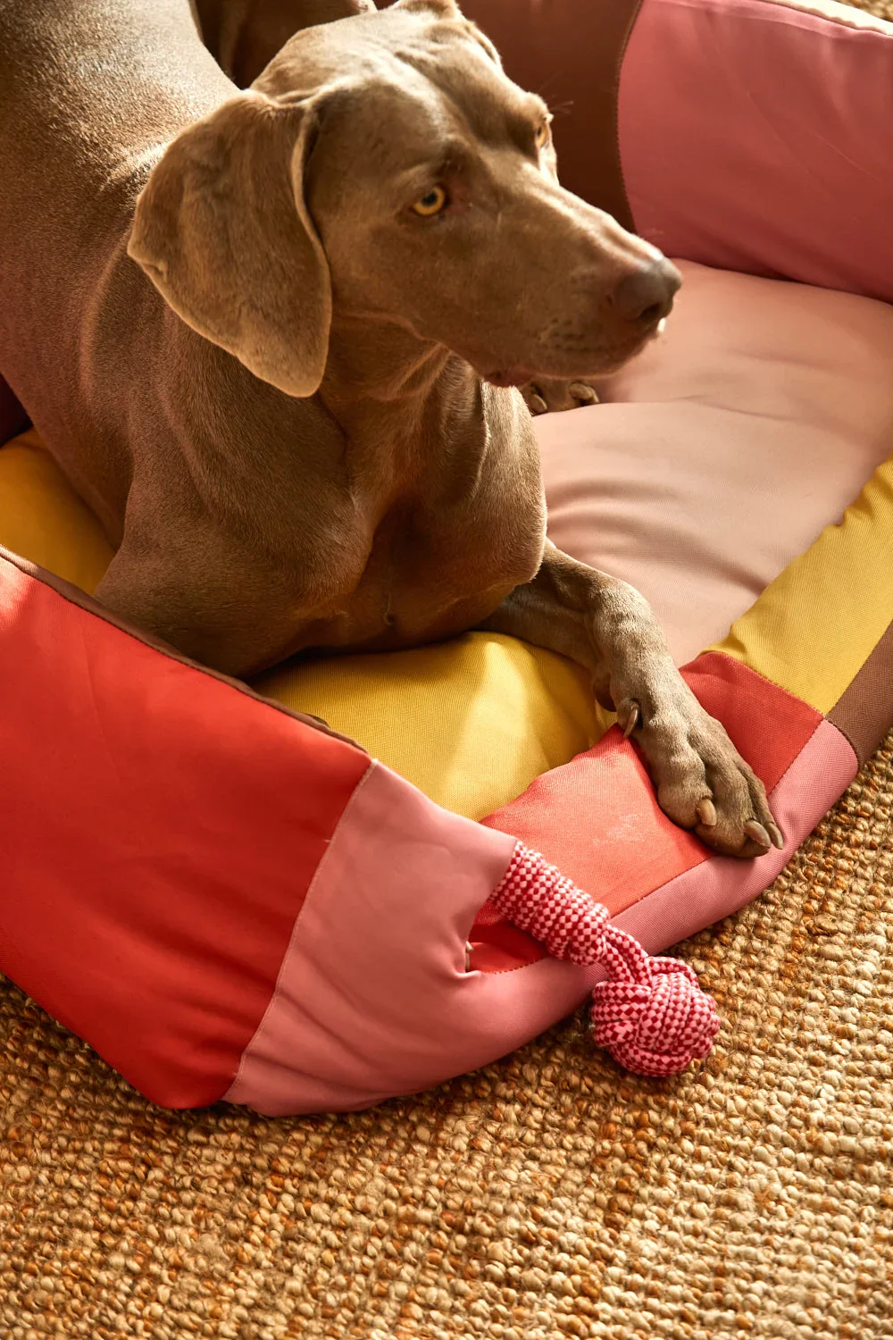 Cama rosa para mascotas Buby - Image 20