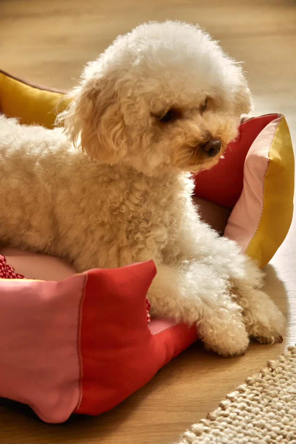 Cama rosa para mascotas Buby - Image 8