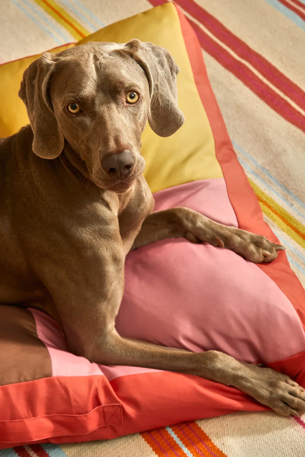 Cojín de suelo para mascotas rosa Buby - Image 15