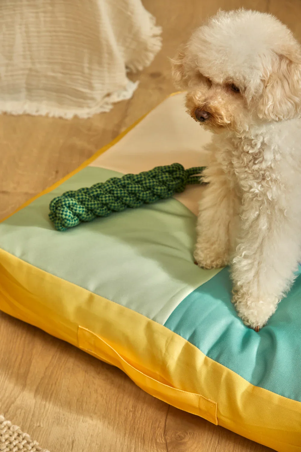 Cojín de suelo para mascotas turquesa Buby - Image 7
