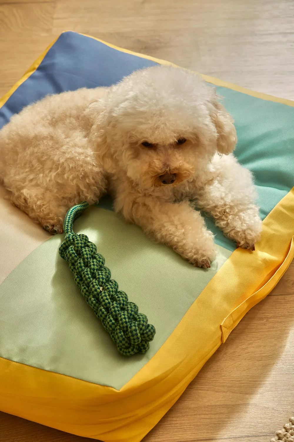 Cojín de suelo para mascotas turquesa Buby - Image 8