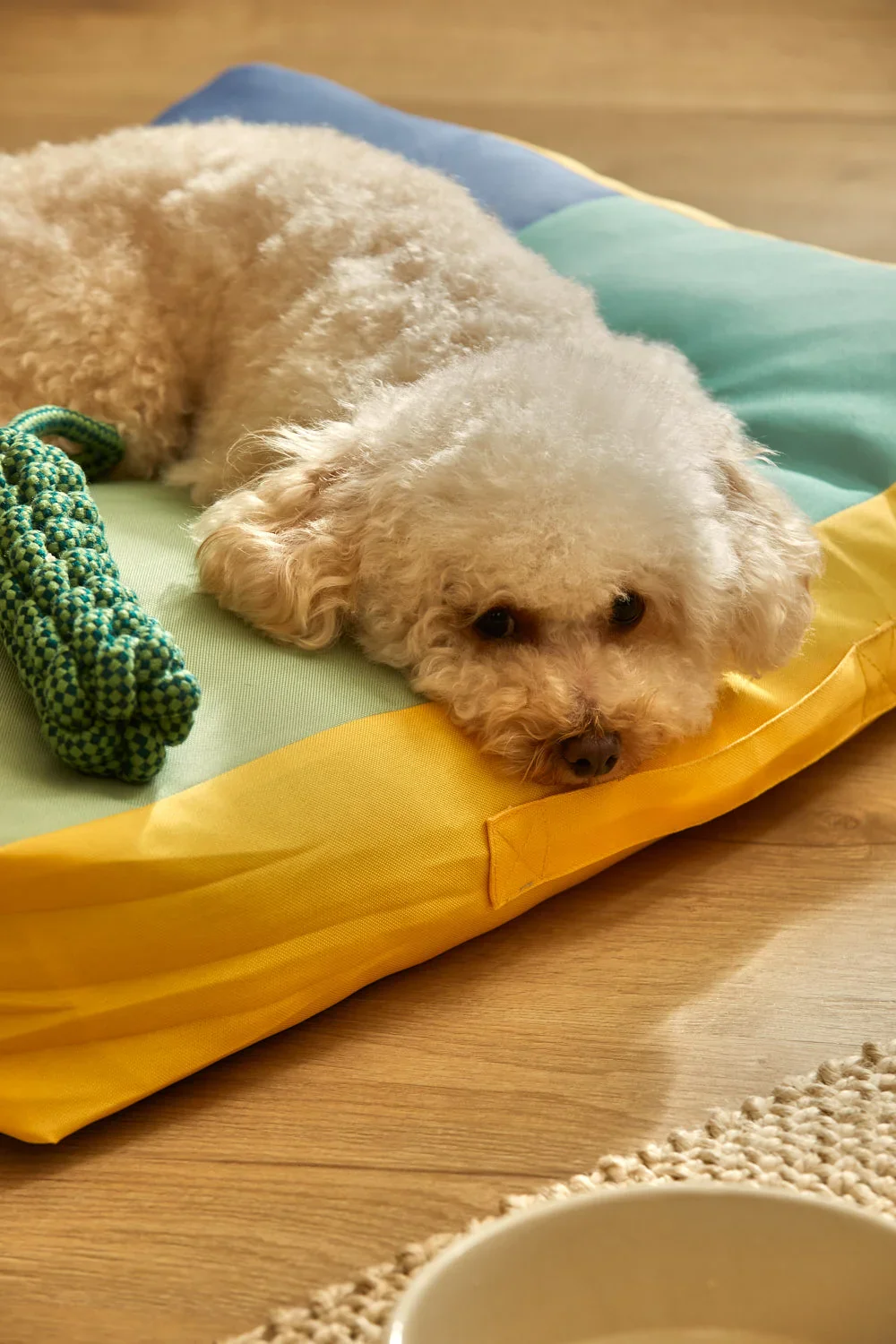 Cojín de suelo para mascotas turquesa Buby - Image 9
