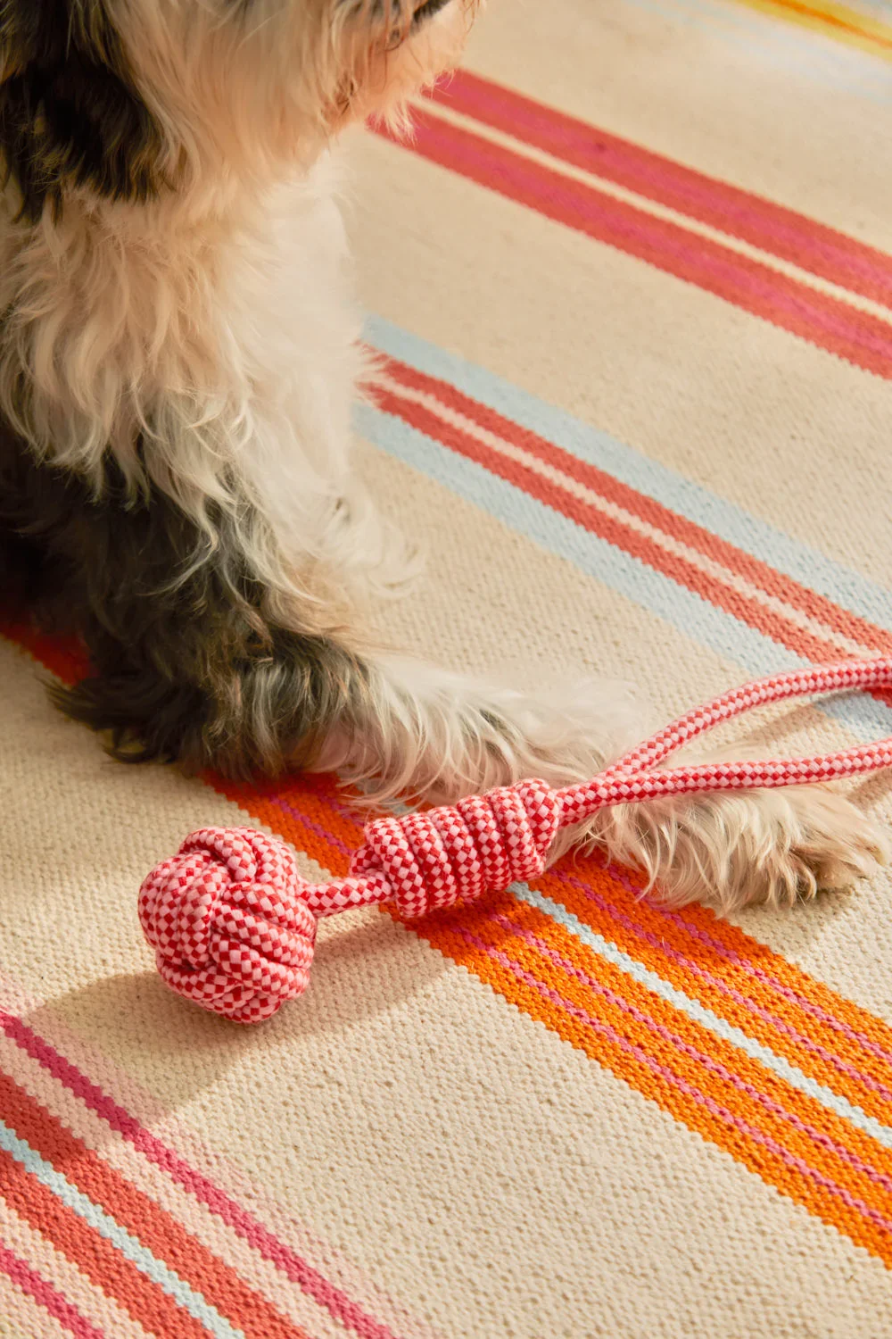 Juguete para mascotas con tirador pelota rosa Buby - Image 4