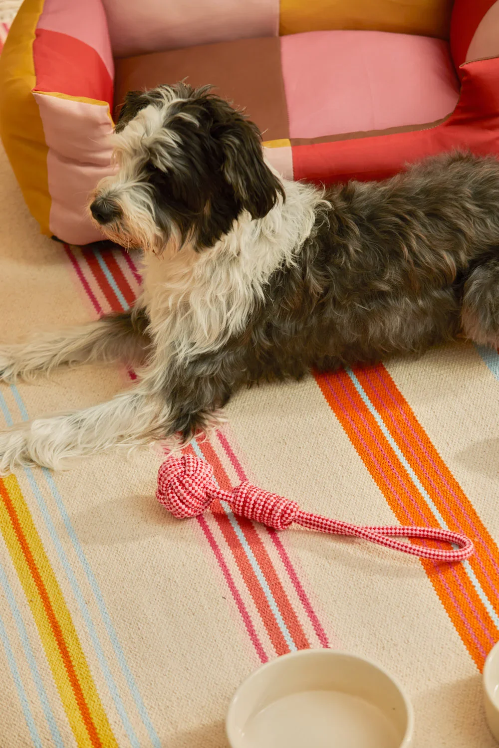 Juguete para mascotas con tirador pelota rosa Buby - Image 5