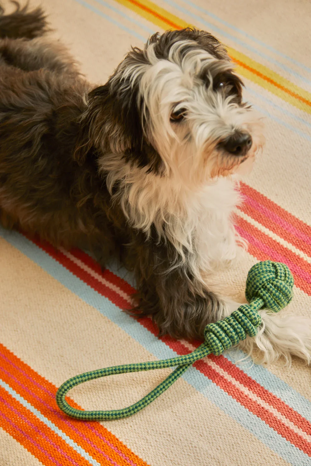 Juguete para mascotas con tirador pelota verde Buby - Image 2