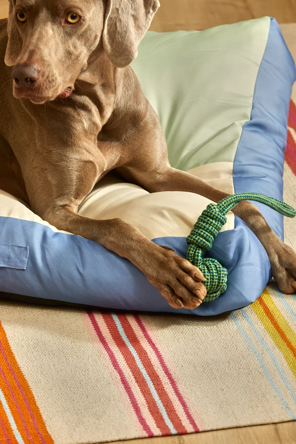 Juguete para mascotas con tirador pelota verde Buby - Image 5