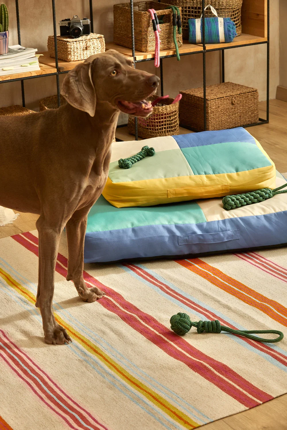 Juguete para mascotas con tirador pelota verde Buby - Image 6